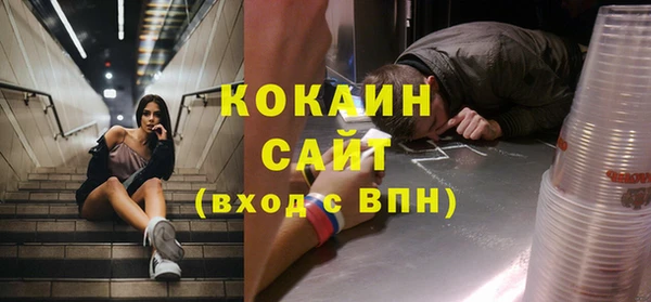 ECSTASY Алзамай