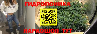молекула духа Тара