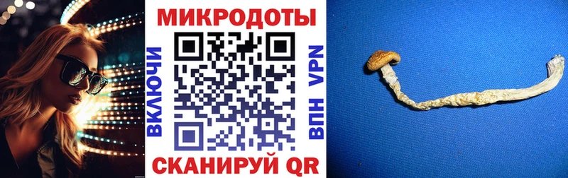 сайты даркнета телеграм  Тара  Псилоцибиновые грибы мухоморы 
